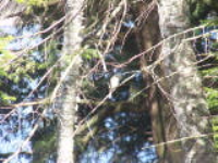 100_6136.jpg